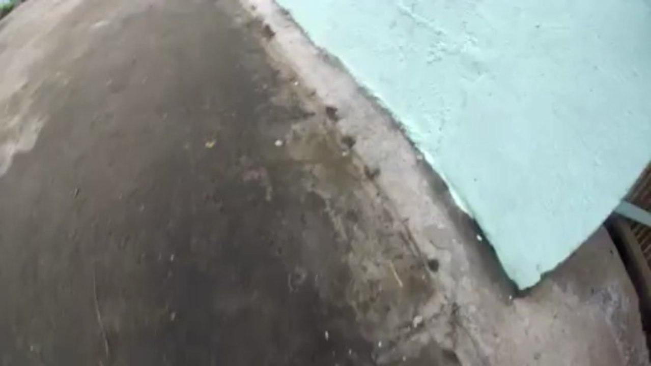scorpion a la reunion
