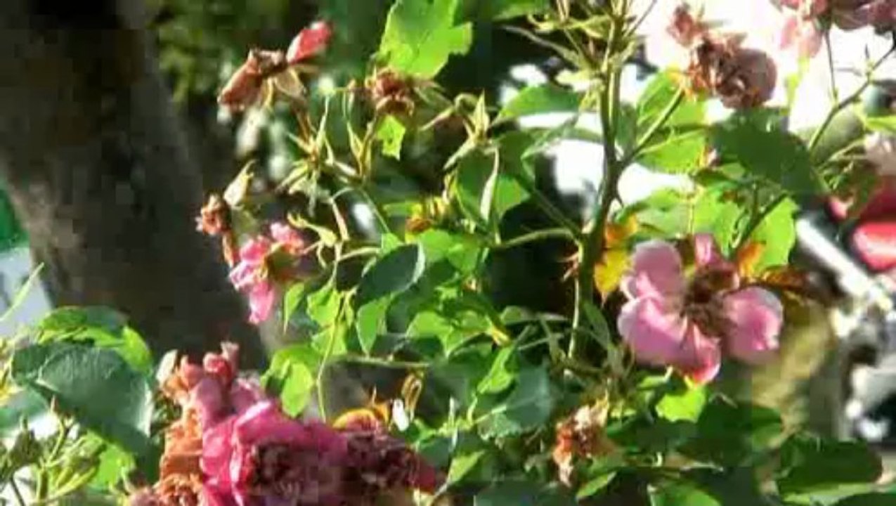 20080909_193230