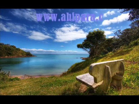 новая зеландия (new zealand)