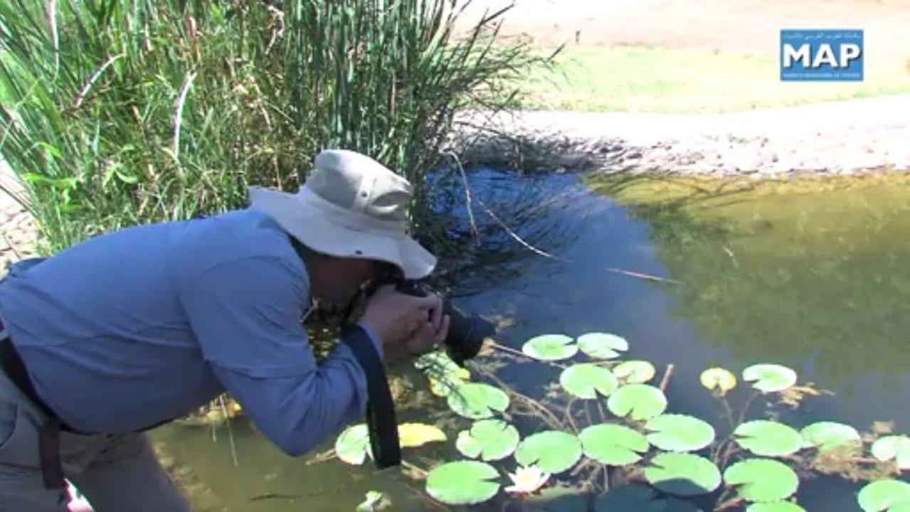 Visite de chercheurs scientifiques chinois à la forêt de la Maamora