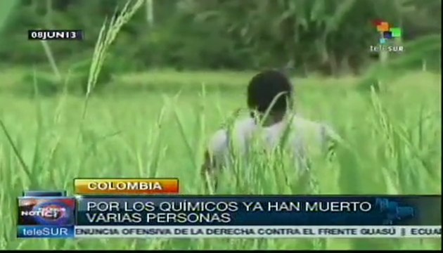 Fumigaciones acaban con la agricultura en Colombia