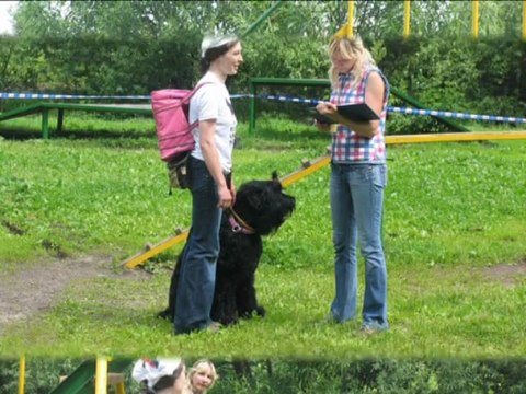 Праздника не будет