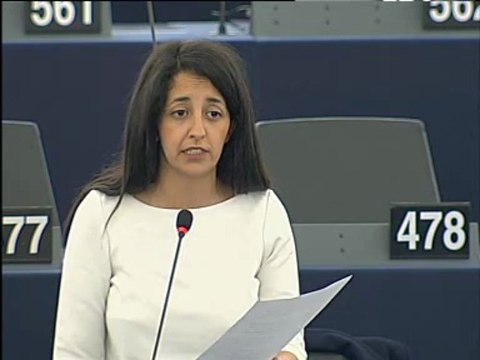 Karima Delli sur les ondes électro-magnétiques au travail (10 juin 2013)