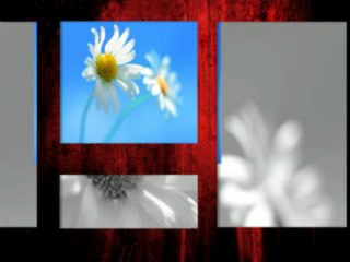 Velinka Grgurevic i TO RTNS - Golubice,sivoga ti perja