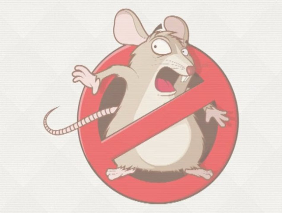 Parole d'expert - Spécial Taupes