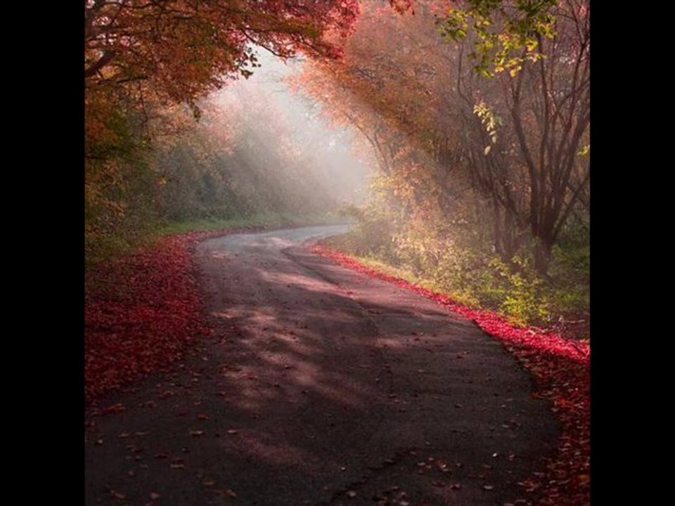 Attila İlhan - Sen Beyaz Bir Kadınsın