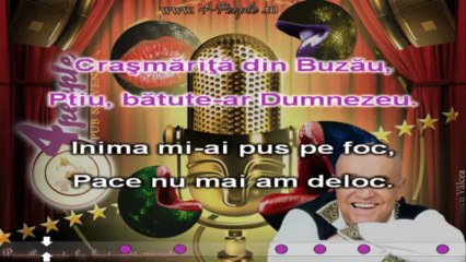 stil Ro-Mania_Benone Sinulescu - Crâşmăriţă din Buzău [Karaoke by kinder]
