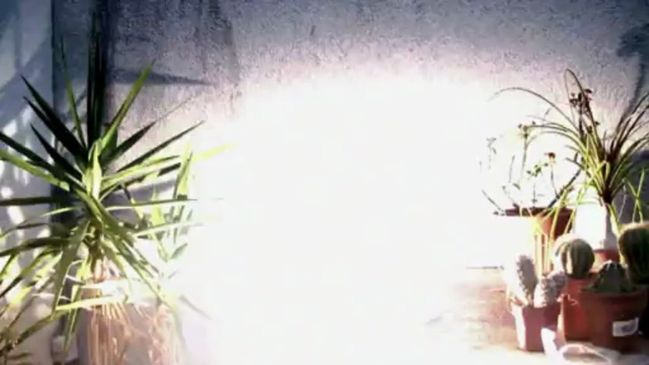 Le Labo (explosion du feu)
