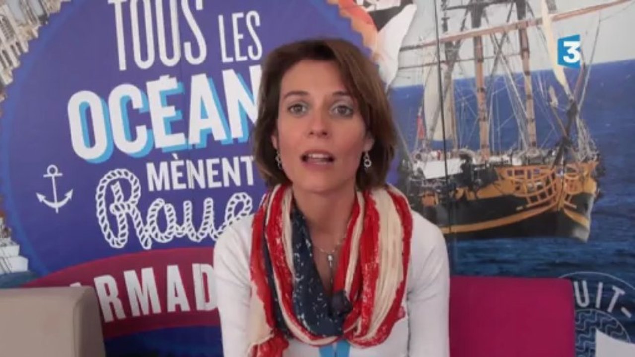 Armada 2013 : L'organisation de l'Armada et l'accès des handicapés au site