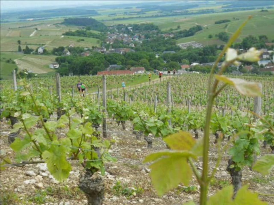 Trail de Sancerre 2013