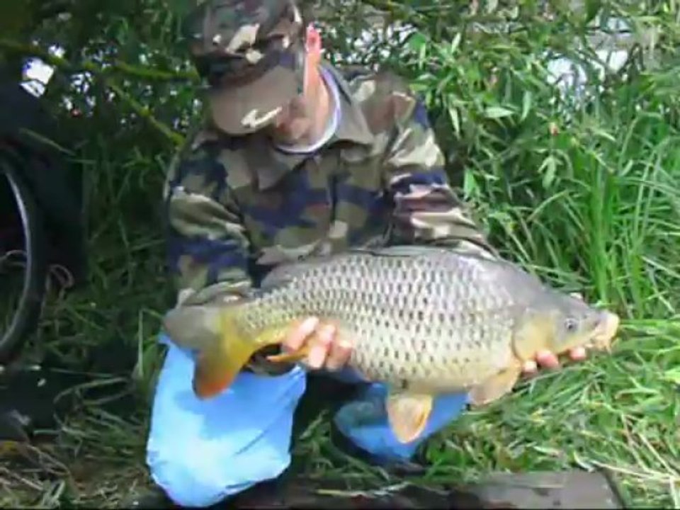 peche a la carpe en riviere