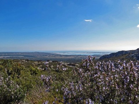 LE PIC DU PIED DU POUL ET LES BORNES MILLIAIRES depuis Roquefort-des-Corbières