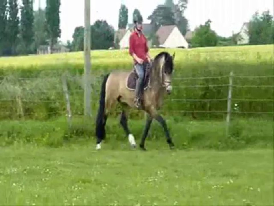 juin_2013