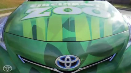 Cause Marketing Campaigns to Watch This Summer