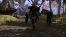 The Elder Scrolls Online (PS4) - E3 2013 Trailer