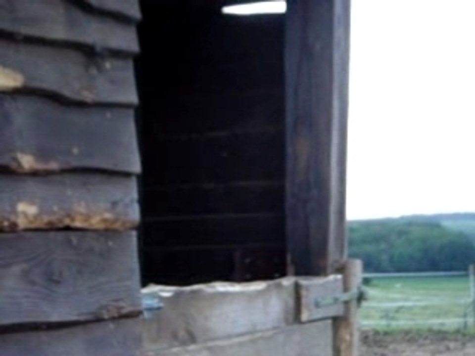 MOV01261
