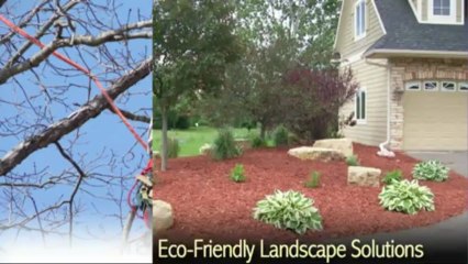 Tree Trimmers Loganville | North American Tree Service Call (770) 554-9406