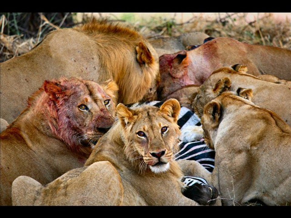 Kevin Richardson
