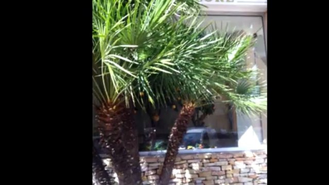 Location Vide - Appartement Le Cannet (LE CANNET) - 736 + 85 € / Mois