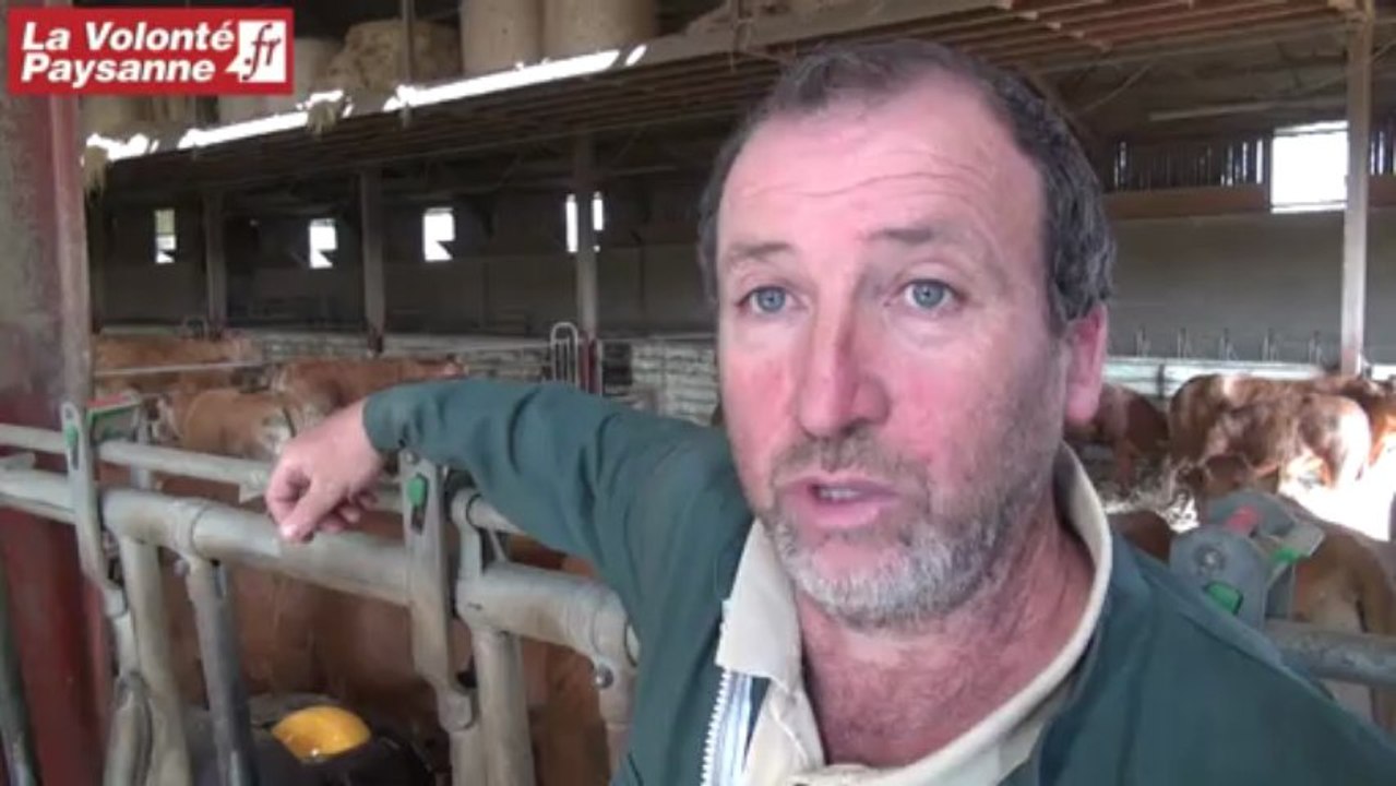 Veau d'Aveyron et du Ségala : élevage naturel et viande unique