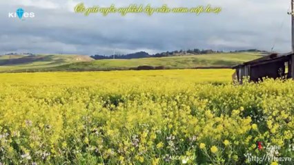 [Vietsub by E-Muzik] If You And Me - Juris