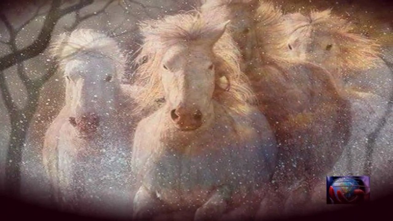 Chevaux Sauvage [Liberté]