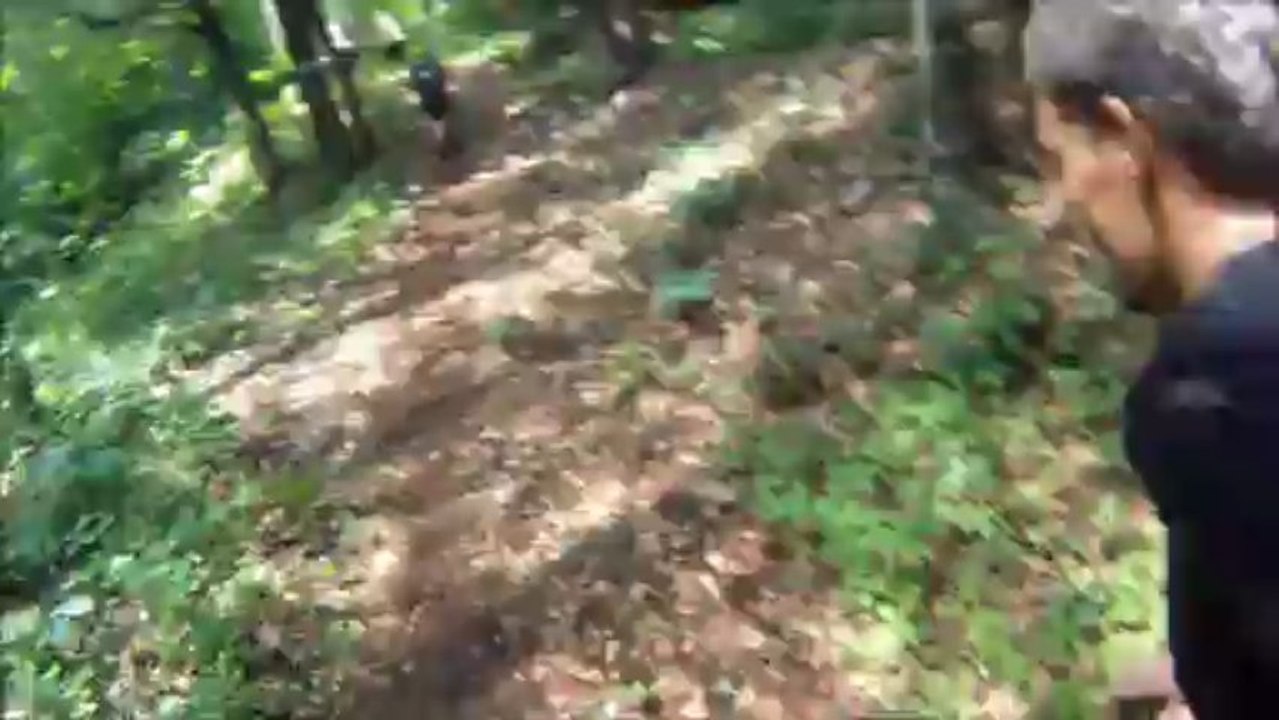 AFteam-Spartan Race