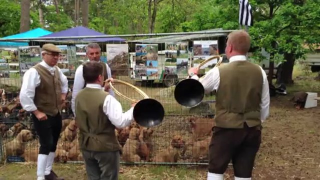 La Rallye des Falaises Fontainebleau 2013