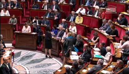 Question au Gouvernement d'Hervé Pellois, Député du Morbihan, sur le statut d'auto-entrepreneur