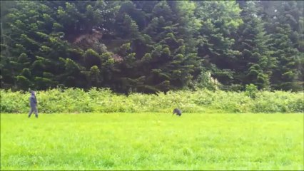 ron metaxa tracking training