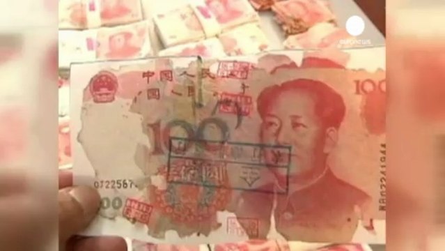 Las termitas pueden ser tan nocivas como algunos bancos