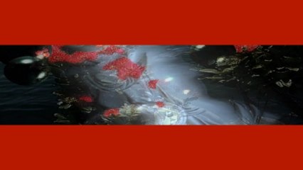 Frédéric François Tous Les Bateaux, Tous Les Oiseaux