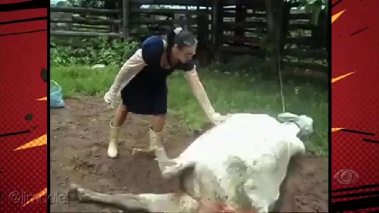 Trollagem Casamento do Ceará   Pânico na Band   03062012 (HD)