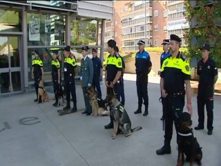 Ajax, el perro que evitó un atentado