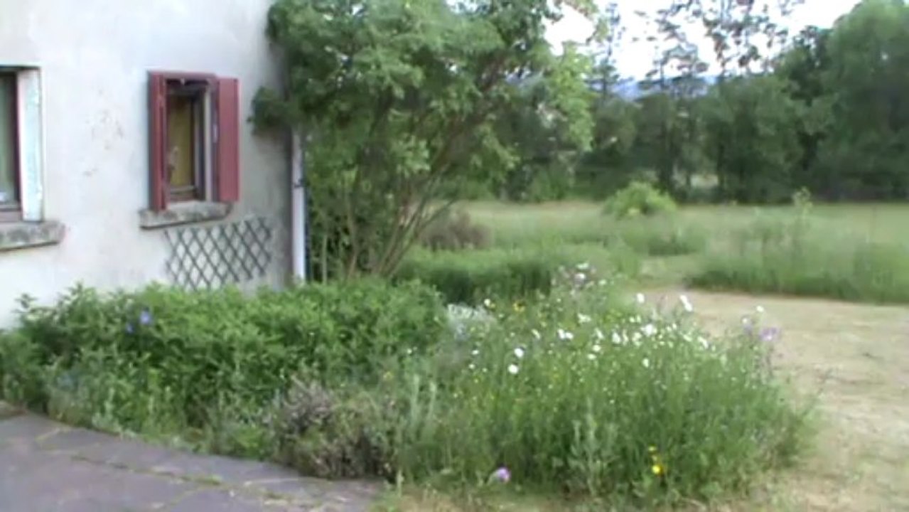 Devant ma maison dans les Vosges