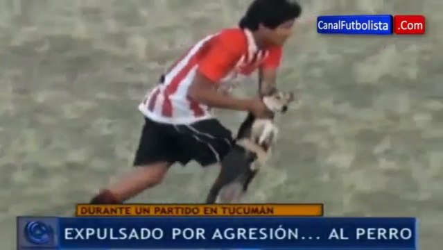 A football player throws a dog