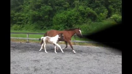 DON JUAN MAISON NEUVE JUIN 2013