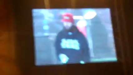 Limp Bizkit: Live, Sonisphere France, 8 juin 2013