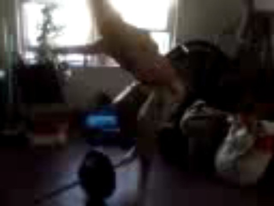 one leg squat or pistal squat