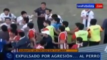 [IMAGENS FORTES!!!] Jogador maltrata cachorro durante jogo na Argentina, causa revolta e é expulso
