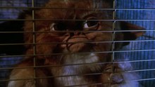 Gremlins (1984) Full Movie Part 1