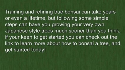 How to Bonsai a Tree