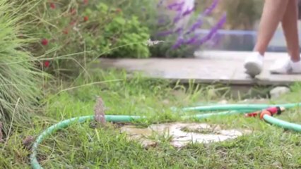 Présentation robot Maytronics Dolphin Master 3 - Cash Piscine