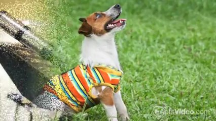 AVA Ballard Apartments in Seattle, WA - ForRent.com