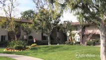 Colony Frontera Apartments in Anaheim, CA - ForRent.com