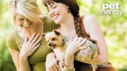 Rosemont Square Apartments in Randolph, MA - ForRent.com