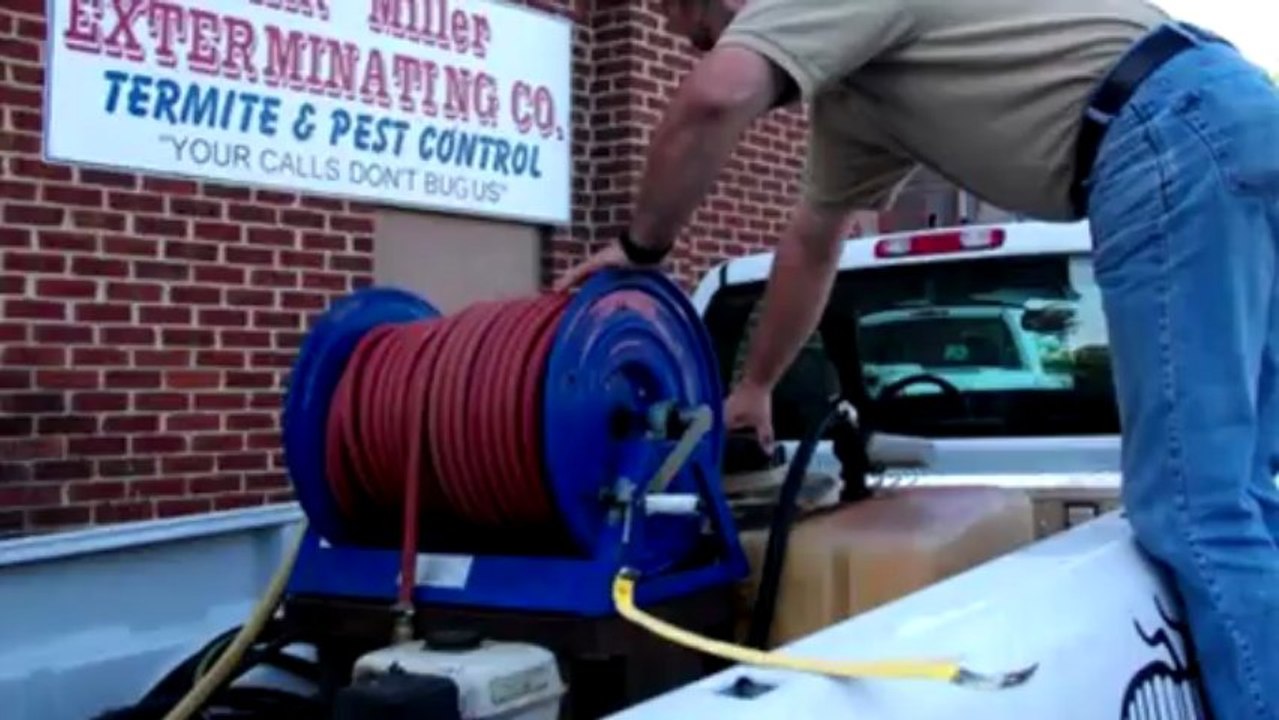 Clint Miller Exterminating Effective Extermination Of Termites Ants And More In Mt Pleasant Nc Video Dailymotion