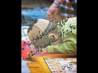 Qadri Naqshbandi True Mujahideen all world.