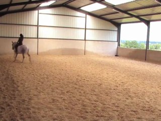 11 06  2013 volte serrée hedd au trot, piaffer, galop hedd, jamb