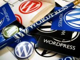 Wordpress Web Development Services at CrowdFinch